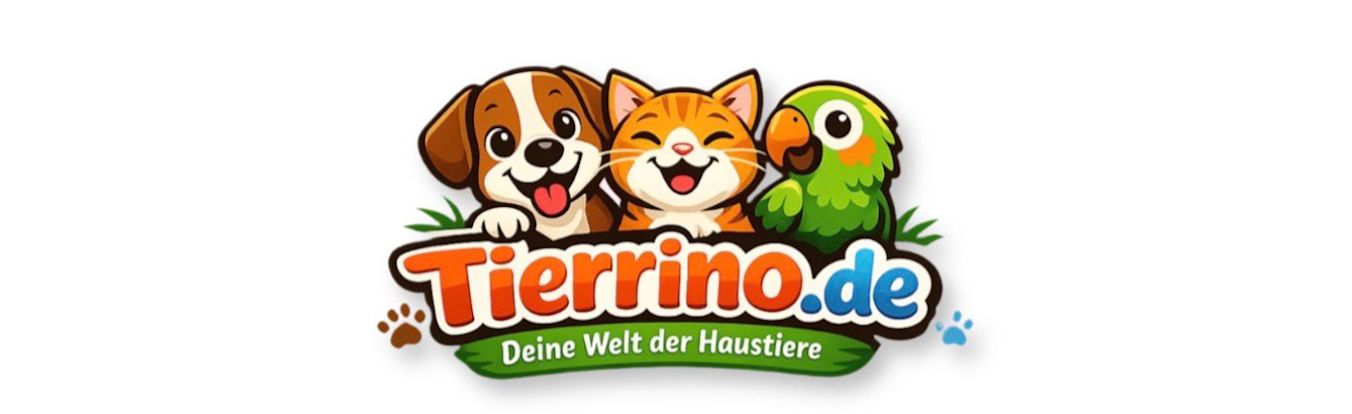 Mein Shop